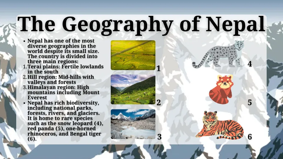 The Geography of Nepal: Terai plains, hill region and Himalayas in photos, plus snow leopard, red panda and tiger