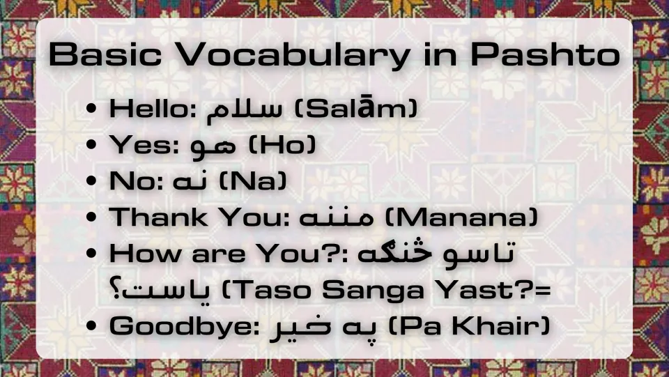 Pashto vocabulary slide pairing hello, yes, no, thank you, how are you, and goodbye with script and transliterations