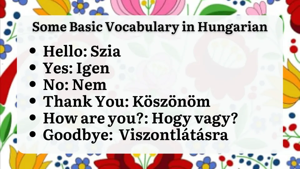 Some Basic Vocabulary in Hungarian: Szia, Igen, Nem, Köszönöm, Hogy vagy? and Viszontlátásra with English meanings