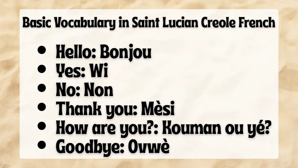 Creole vocabulary slide pairs Bonjou (hello), Wi (yes), Non (no), Mèsi (thank you), and two more with English