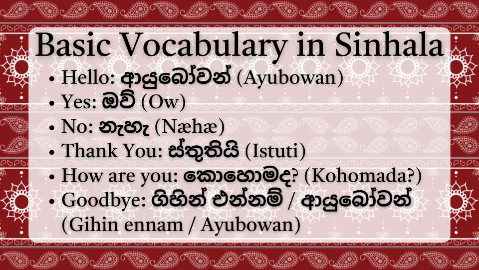 Basic Vocabulary in Sinhala: hello, yes, no, thank you, how are you and goodbye with script and romanized spellings