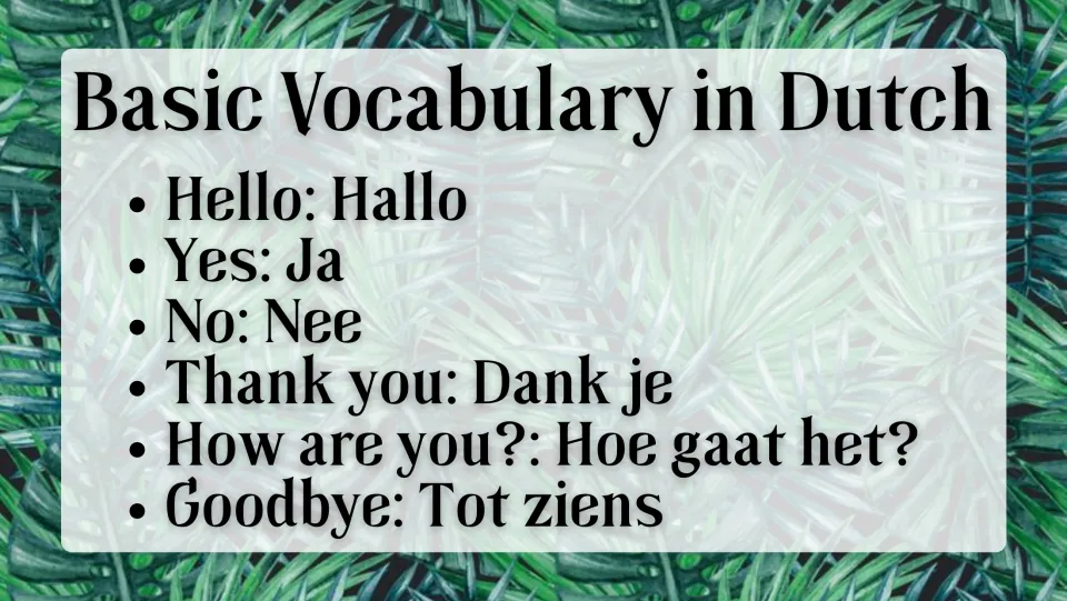 Dutch vocabulary slide pairing Hallo (hello), Ja (yes), Nee (no), and three more expressions with English