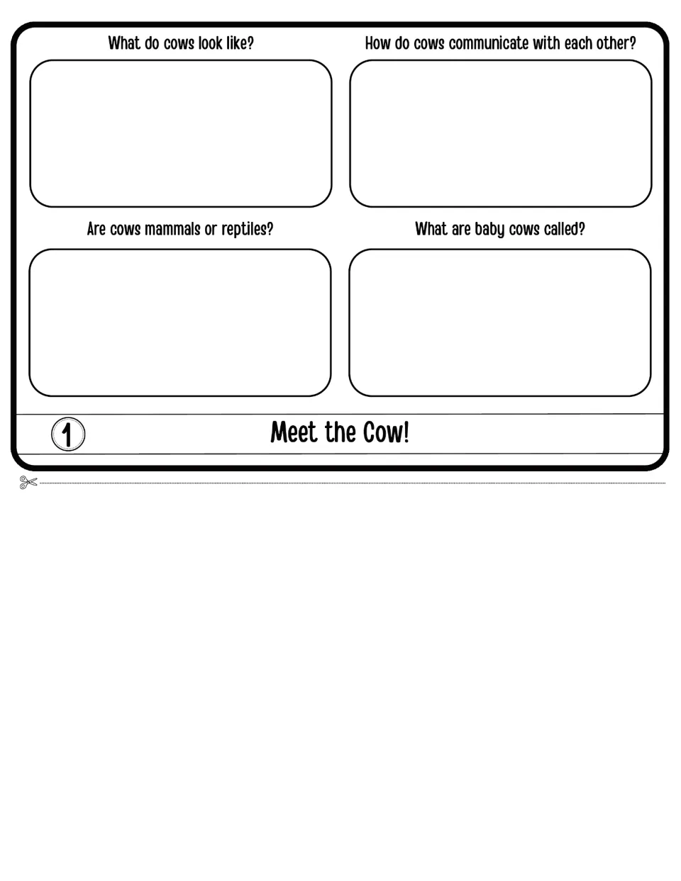 Meet the Cow! flap: students tell what cows look like, how they communicate, if they are mammals and what calves are called