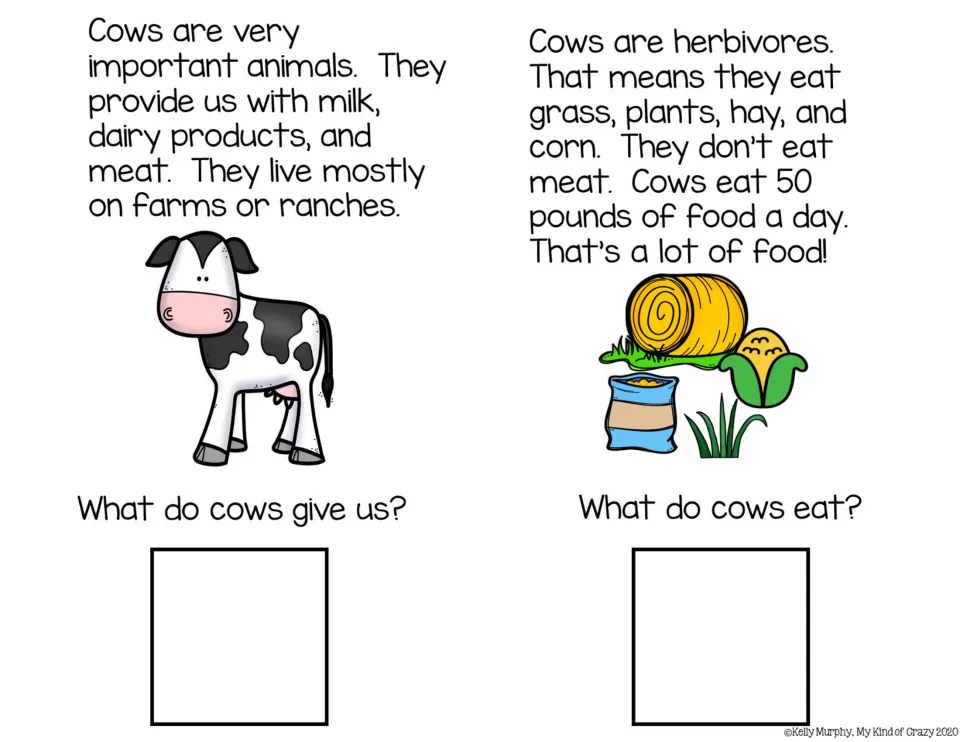 Cow facts: students read that cows give milk and meat and eat grass, hay and corn, then answer what cows give us and eat