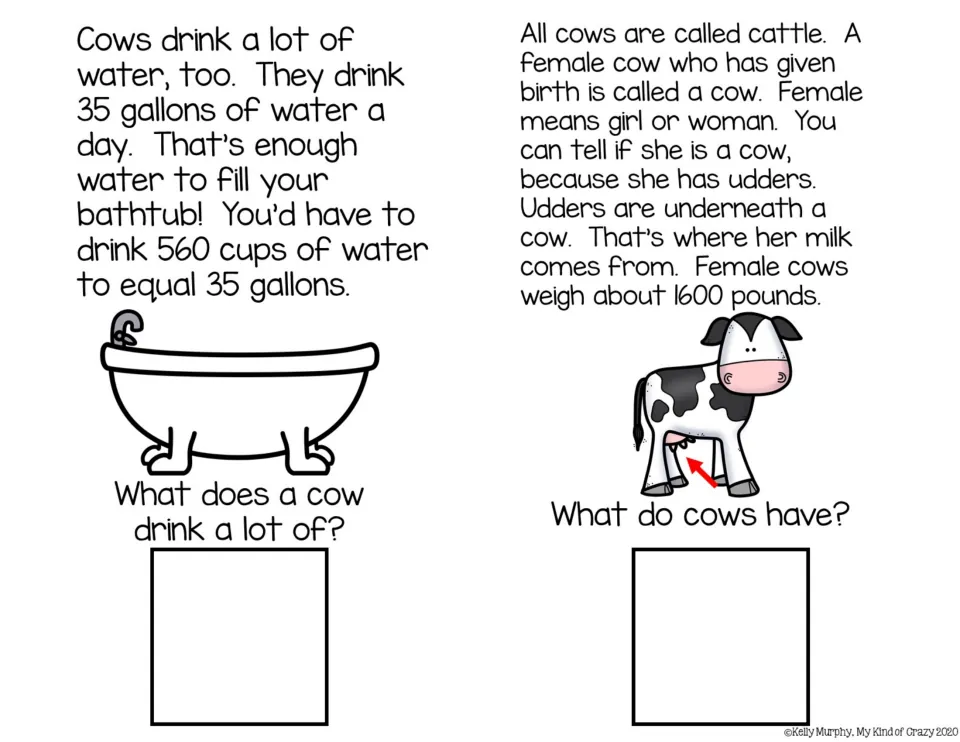 Water and udders: students read cows drink 35 gallons a day and females have udders, then answer what cows drink and have