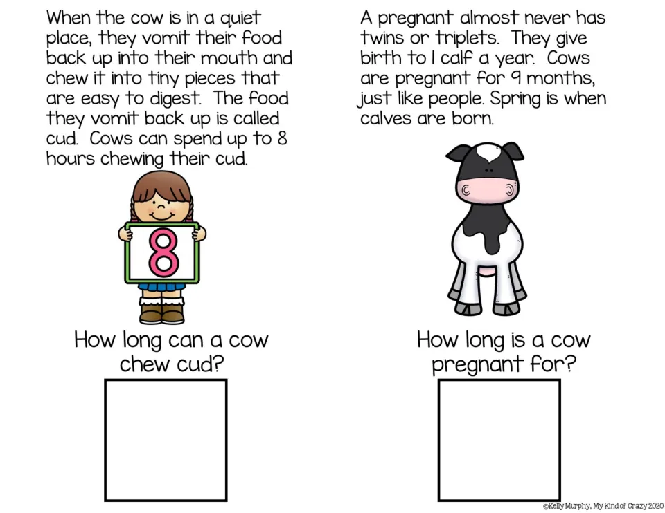 Cud and pregnancy: students read that cows chew cud up to 8 hours and carry a calf 9 months, then answer how long for each