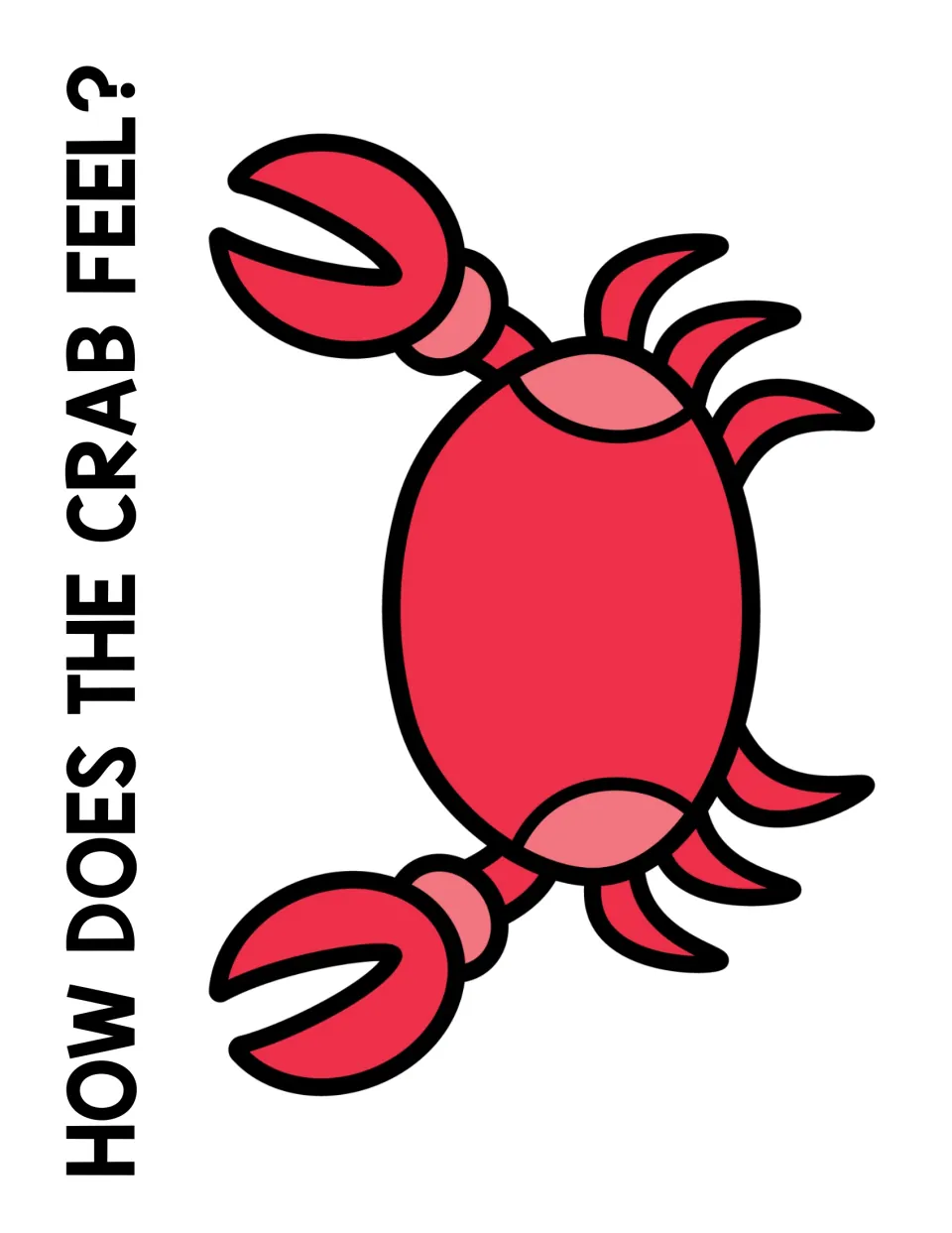 How does the crab feel? mat: a large red crab with no eyes or mouth, ready for children to build a face for a feeling