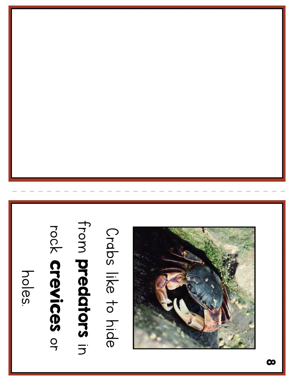 Crab reader page 8 explains that crabs hide from predators in rock crevices or holes, with a crab photo