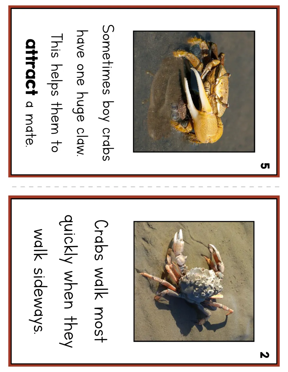 Crab reader pages 5 and 2 explain how a huge claw helps attract a mate and how crabs walk fastest sideways