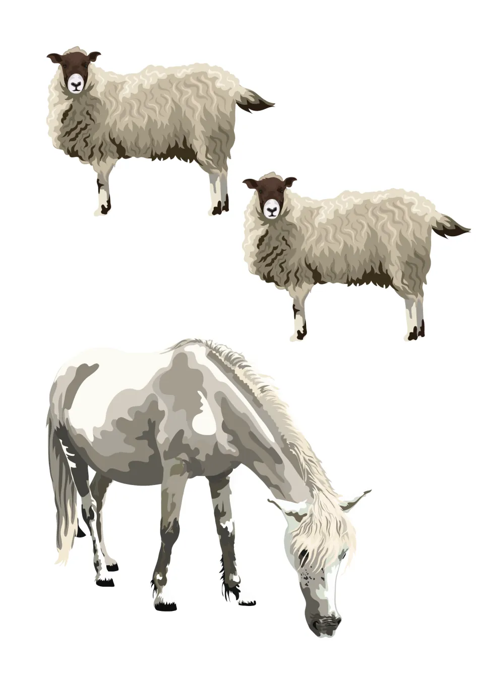 More countryside cut-outs: two woolly brown-faced sheep and a large grey-and-white grazing horse to stick on the scene