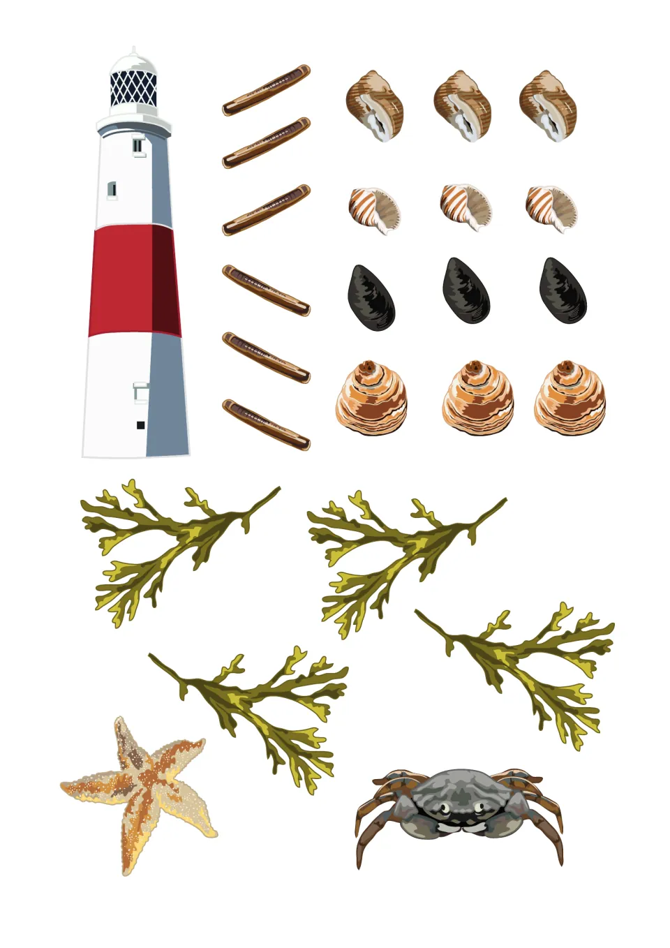 Seaside cut-outs for the coastal show: a red-and-white lighthouse, razor shells, snail shells, mussels, seaweed, a crab