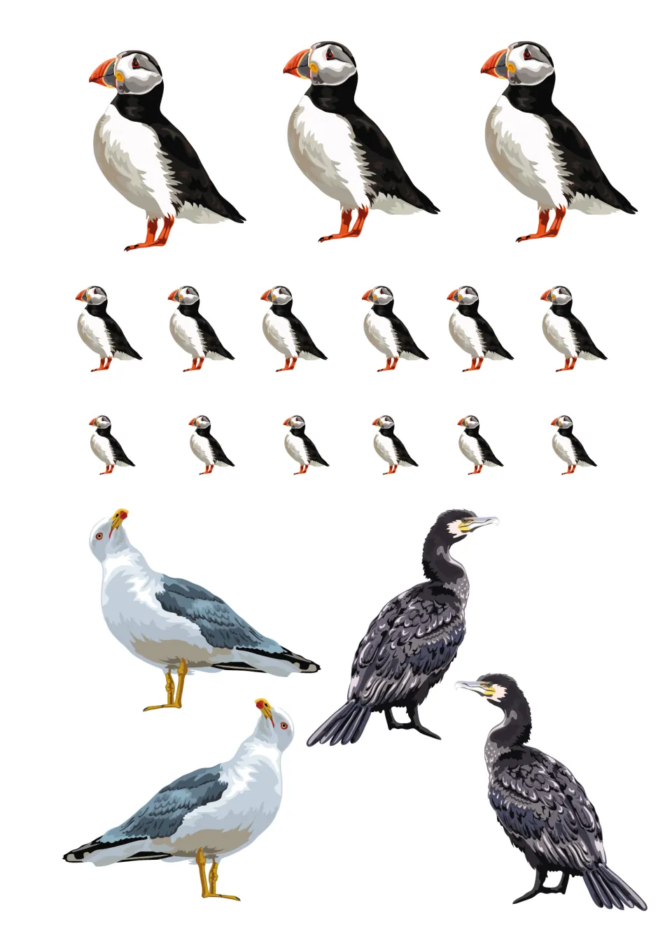 Seabird cut-outs for the coastal scene: puffins in three sizes, two gulls and two cormorants to cut out and stick on