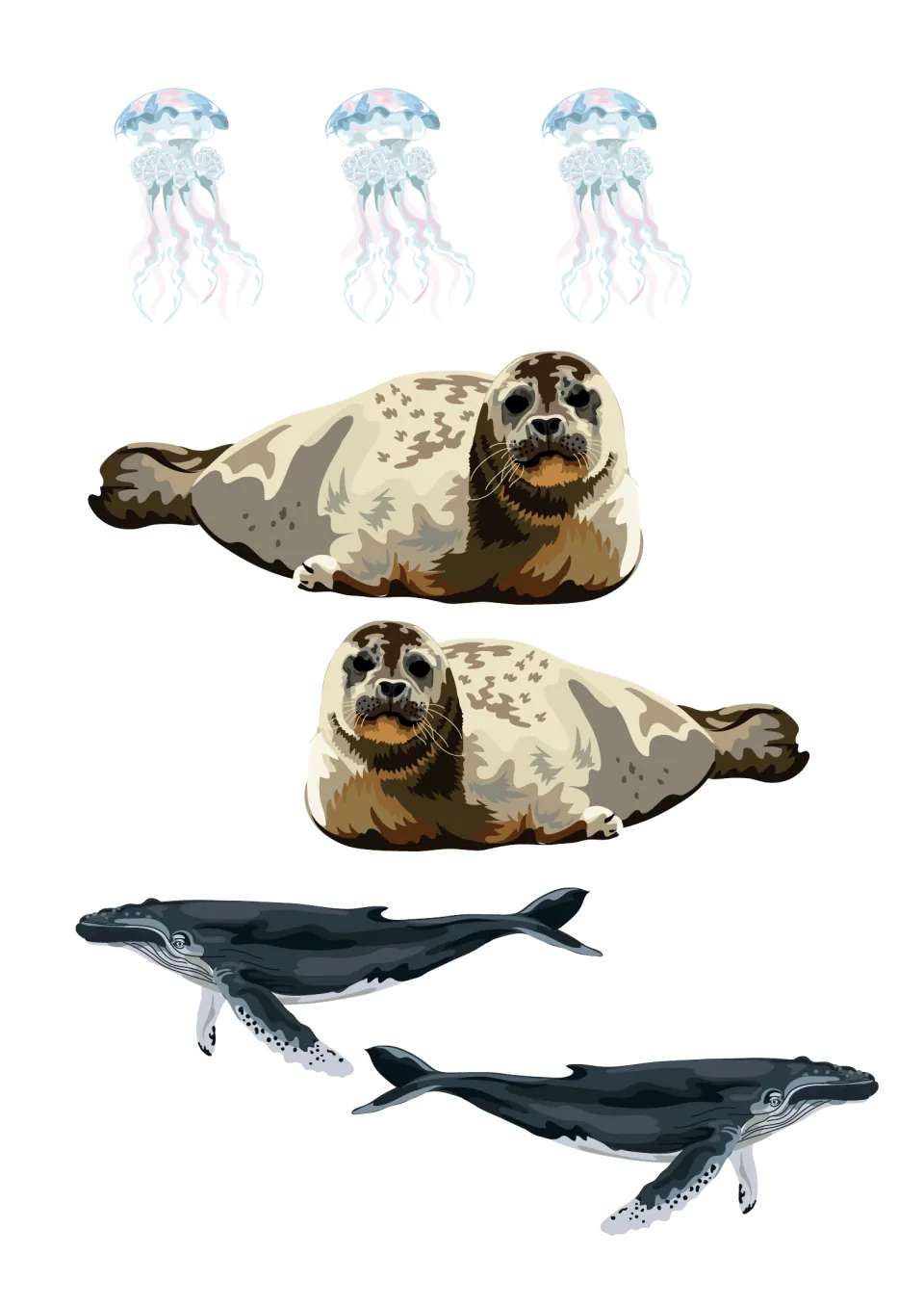 Sea creature cut-outs for the coastal TV picture: three jellyfish, two seals lying down and two humpback whales swimming