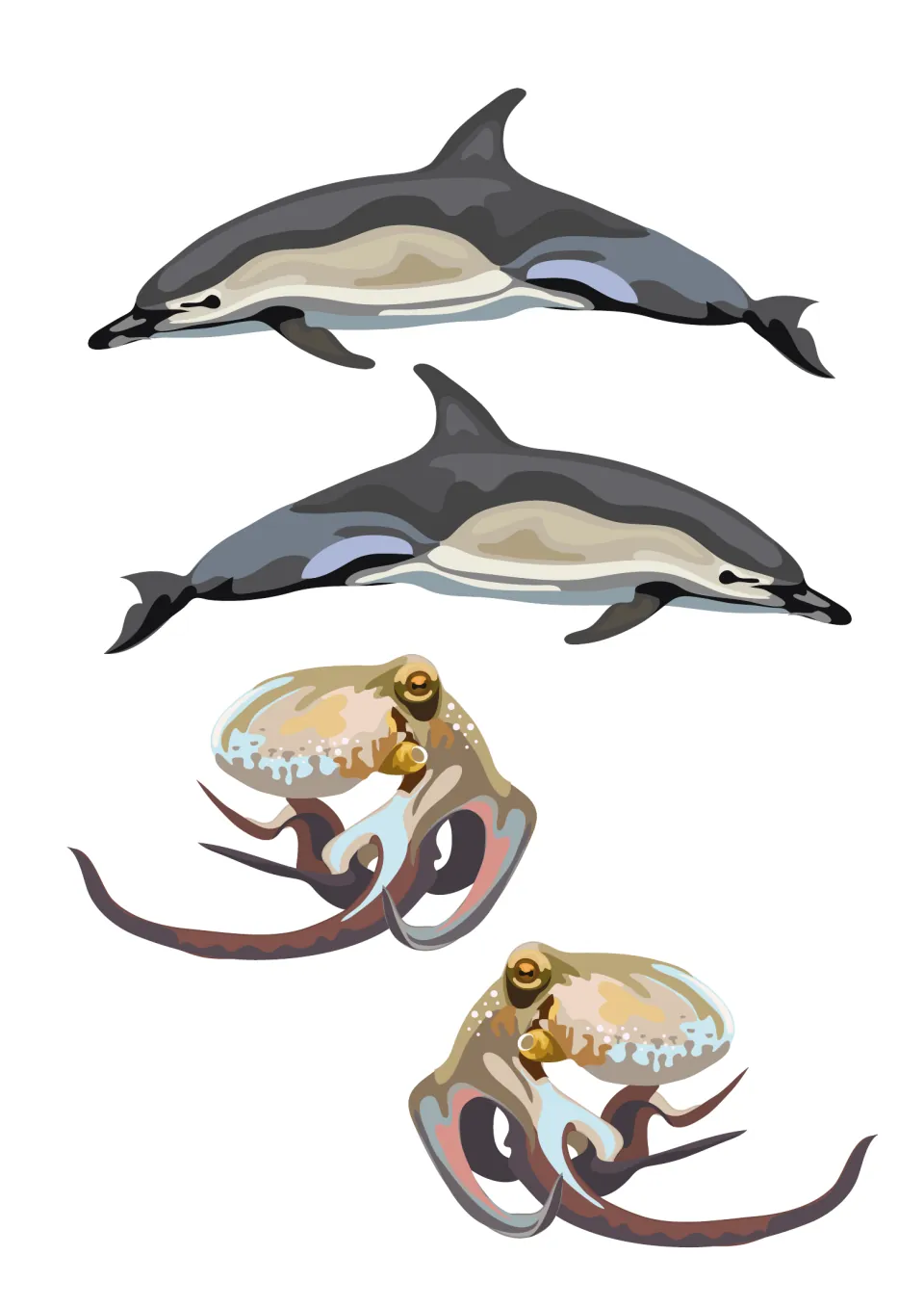 Last coastal cut-outs: two grey dolphins swimming and two curled octopuses to cut out and place in the painted sea scene