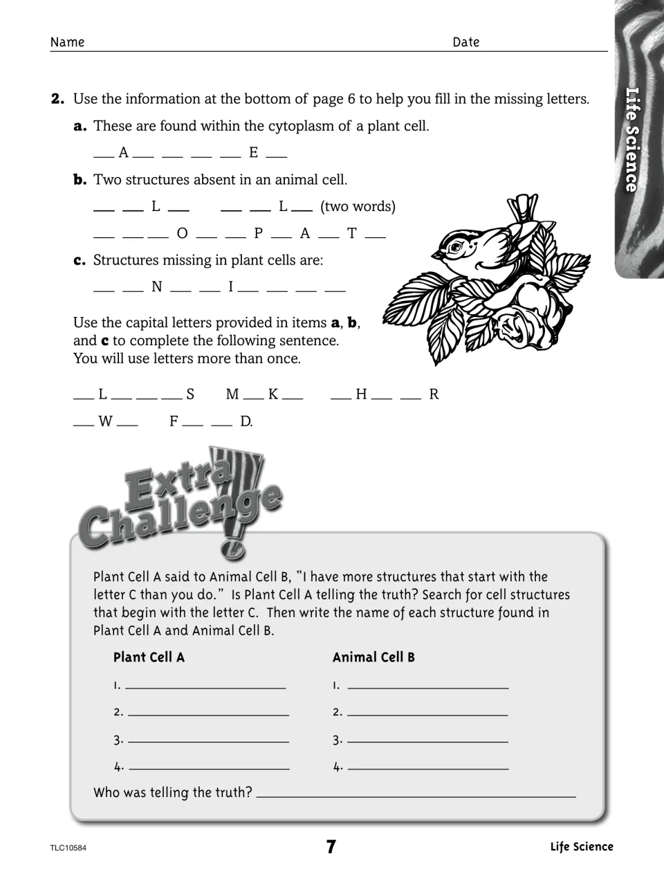 Cell Life activity, part 2: fill missing letters in cell terms and compare structures beginning with C