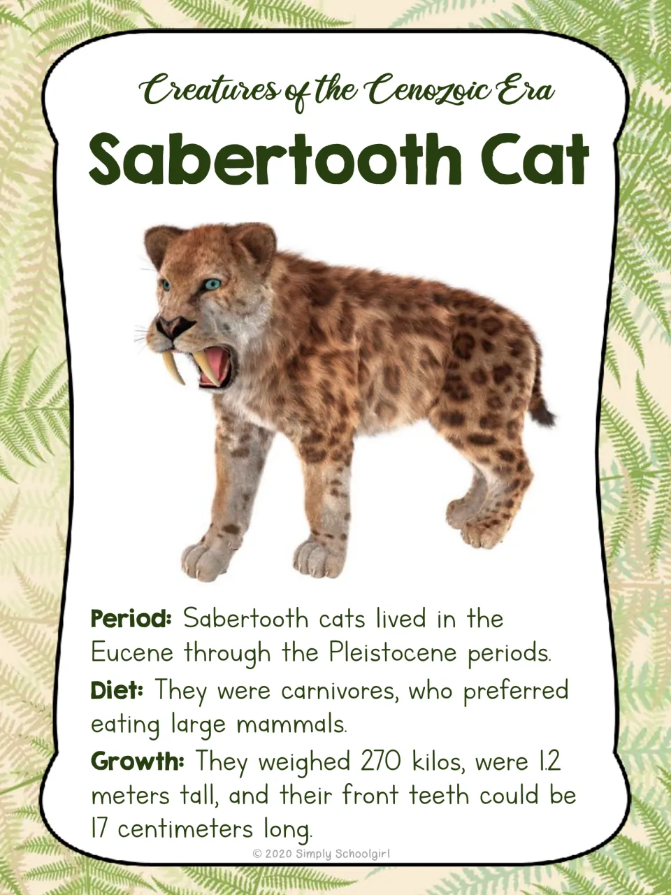 Sabertooth cat card front with an animal illustration and facts about its time period, meat diet, and size