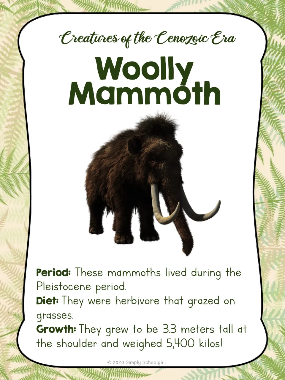 Woolly mammoth card front with an animal illustration and facts about its time period, grass diet, and size
