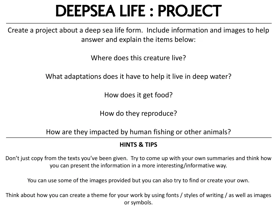 Deep sea life project: students research one creature's habitat, adaptations, food, reproduction and human impact