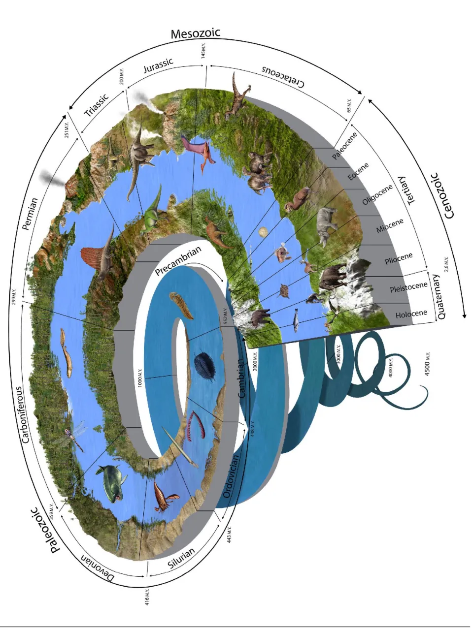Spiral geological timeline illustrates prehistoric life from Precambrian seas through the Holocene