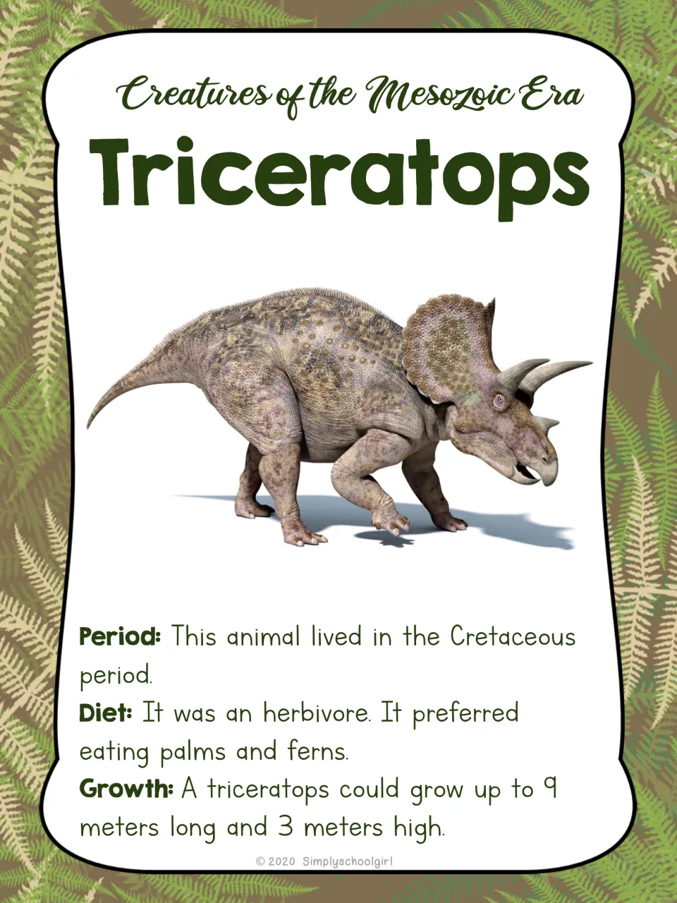 Triceratops card front shows the dinosaur, its Cretaceous period, plant diet, and size of 9 by 3 meters