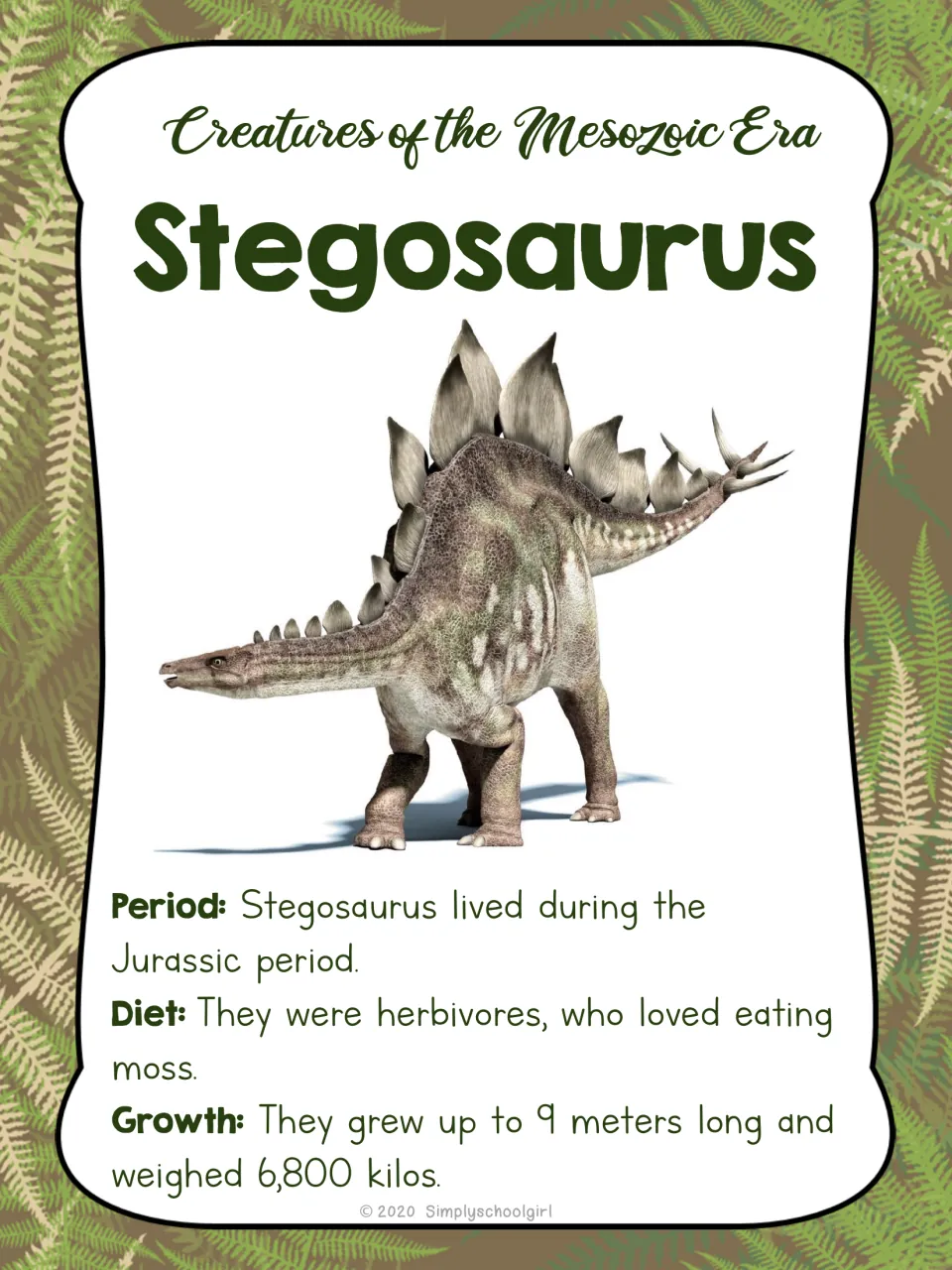Stegosaurus card front shows the dinosaur, Jurassic period, herbivore diet, and length up to 9 meters