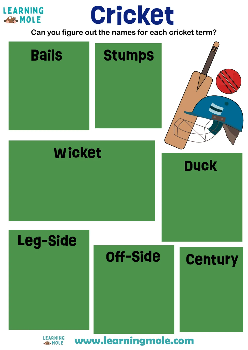 Cricket vocabulary: students explain the terms bails, stumps, wicket, duck, leg-side, off-side and century