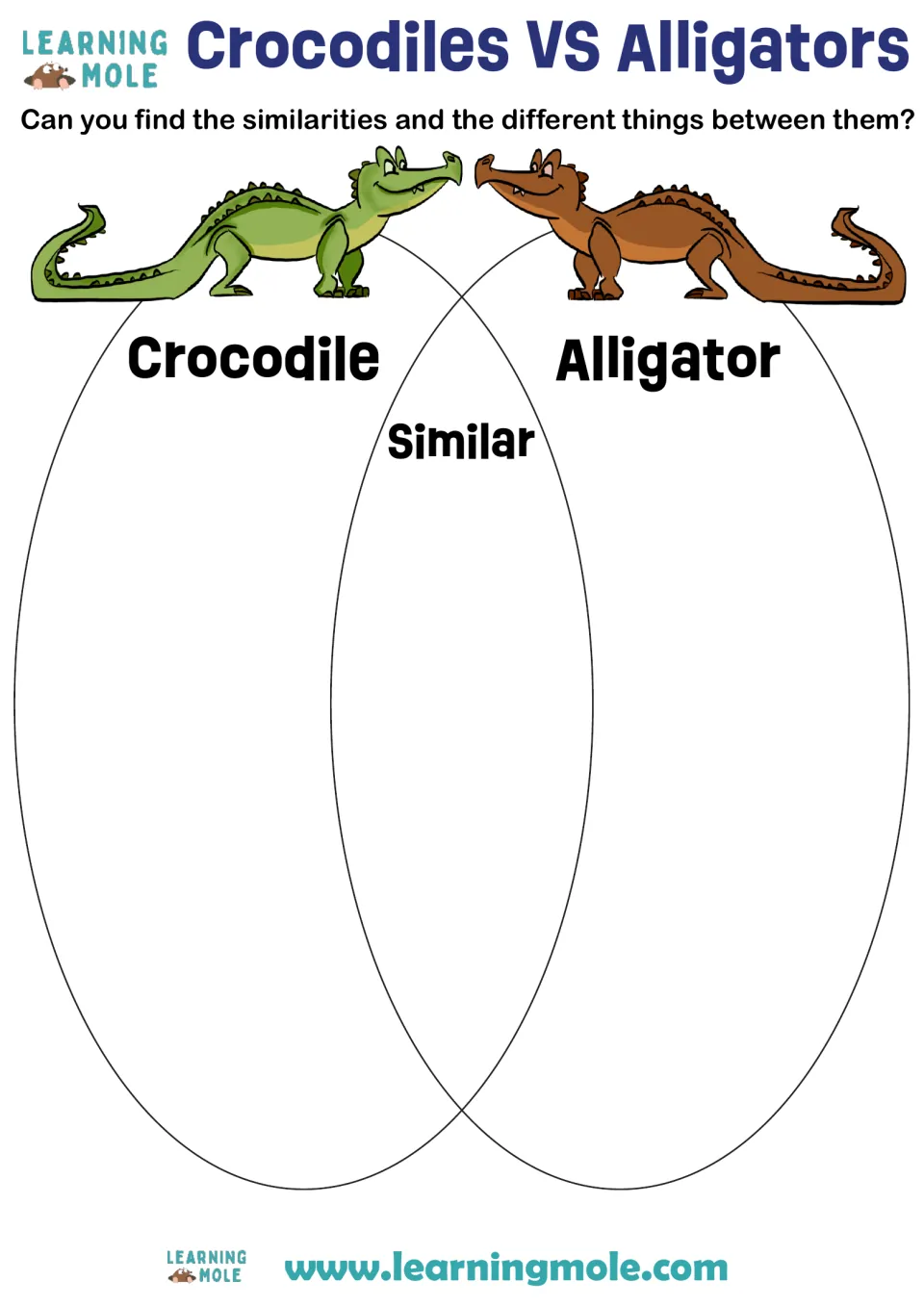 Crocodiles vs alligators Venn diagram: students compare the two reptiles, listing differences and similarities