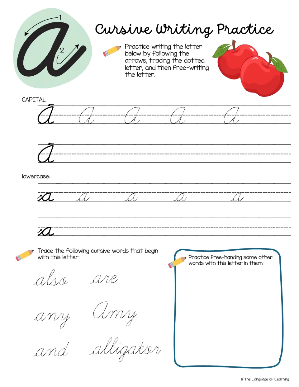 Cursive letter A: students follow arrows, trace and free-write A and a, then trace also, any, and, are, Amy, alligator