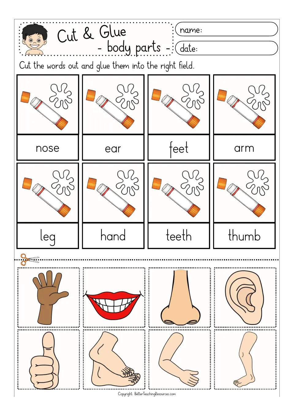 Body parts in color: students cut out 8 pictures and glue each above nose, ear, feet, arm, leg, hand, teeth, thumb