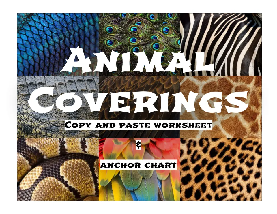 Animal Coverings cover: copy and paste worksheet and anchor chart, shown over photos of scales, feathers and fur