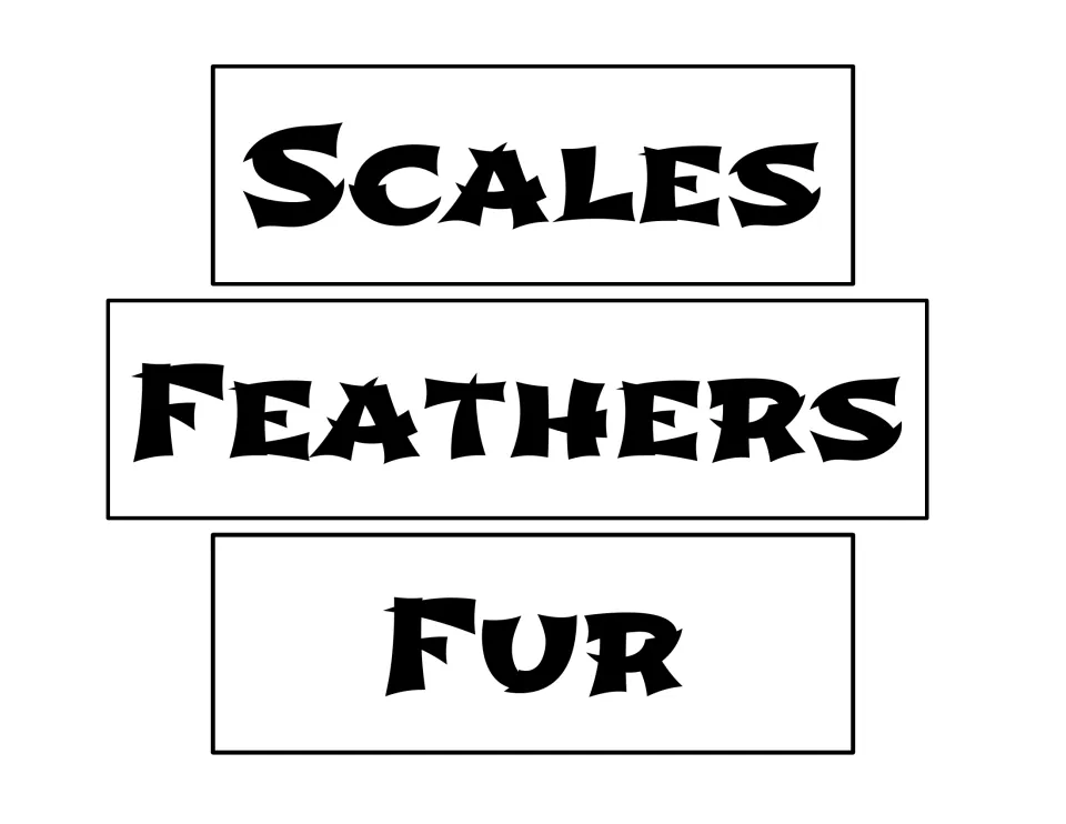 Header cards reading Scales, Feathers and Fur in large bold letters, ready to cut out for a sorting display