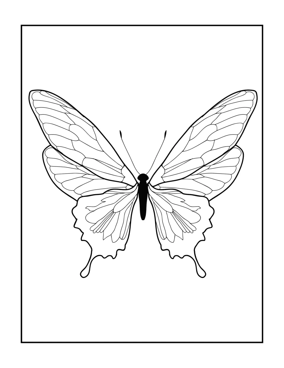 Butterfly coloring page: a swallowtail with finely veined wings, a black body and curling tails, ready to color in detail