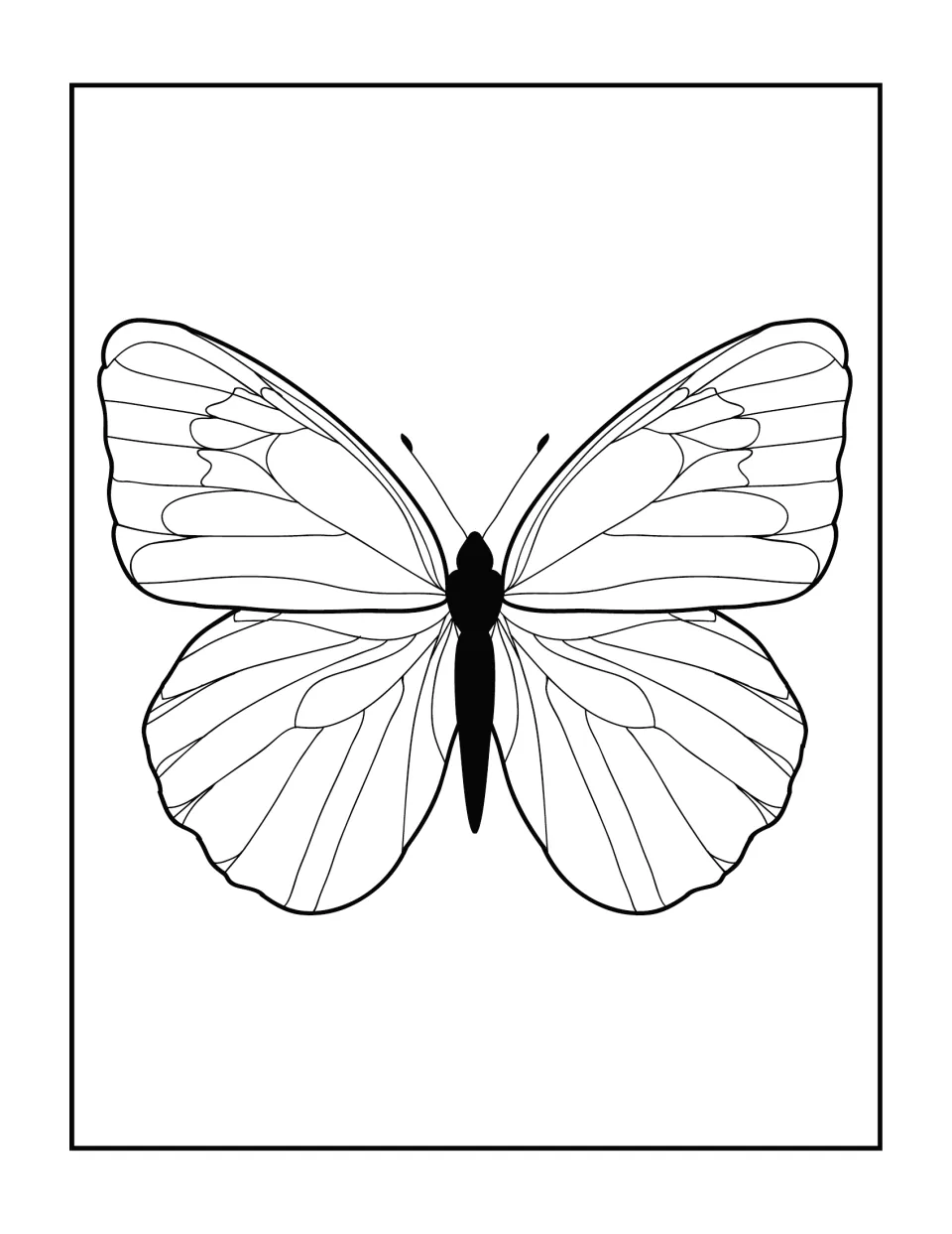 Butterfly coloring page: a butterfly with open wings divided by long flowing veins and a solid black body down the center
