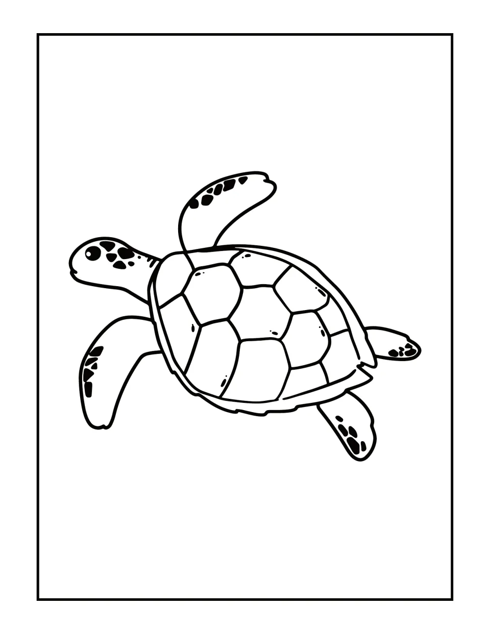 Sea turtle swimming with four spotted flippers and a patterned shell; students color the outline drawing of the turtle