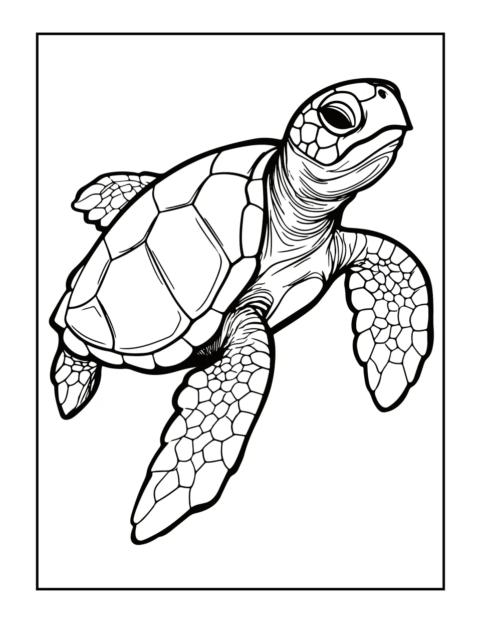 Realistic sea turtle gliding upward with a textured neck and scaly flippers; students color the detailed line drawing