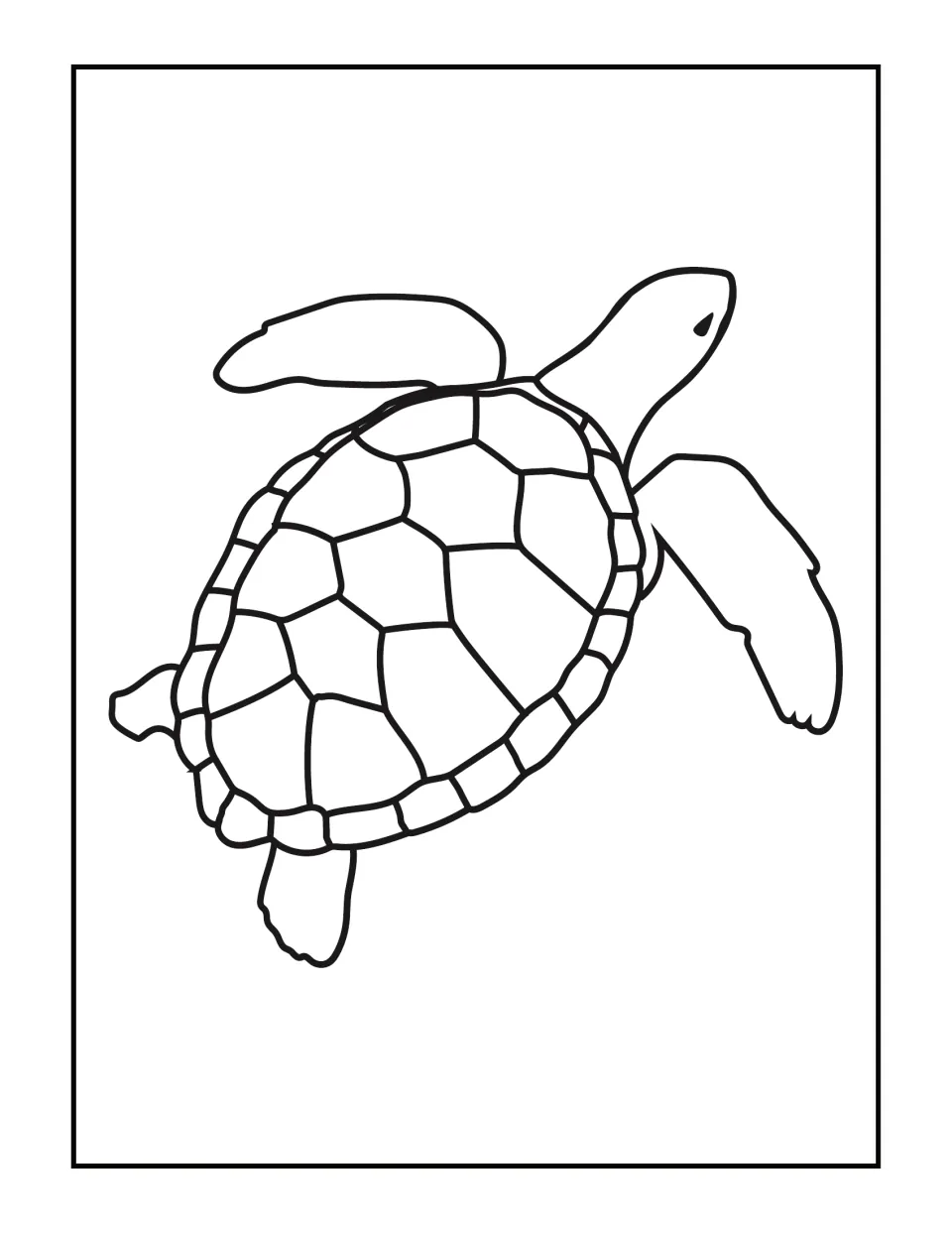 Sea turtle seen from above with outstretched flippers and a many-sectioned shell; students color the plain outline art
