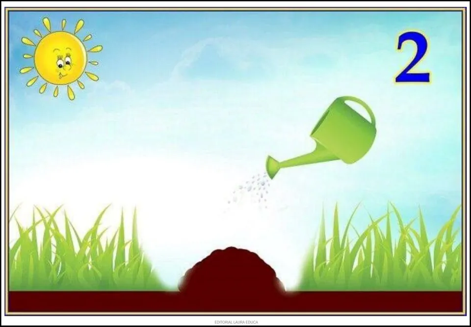 Tree cycle poster 2 of 9 shows a watering can sprinkling water onto a mound of soil before a sprout emerges.