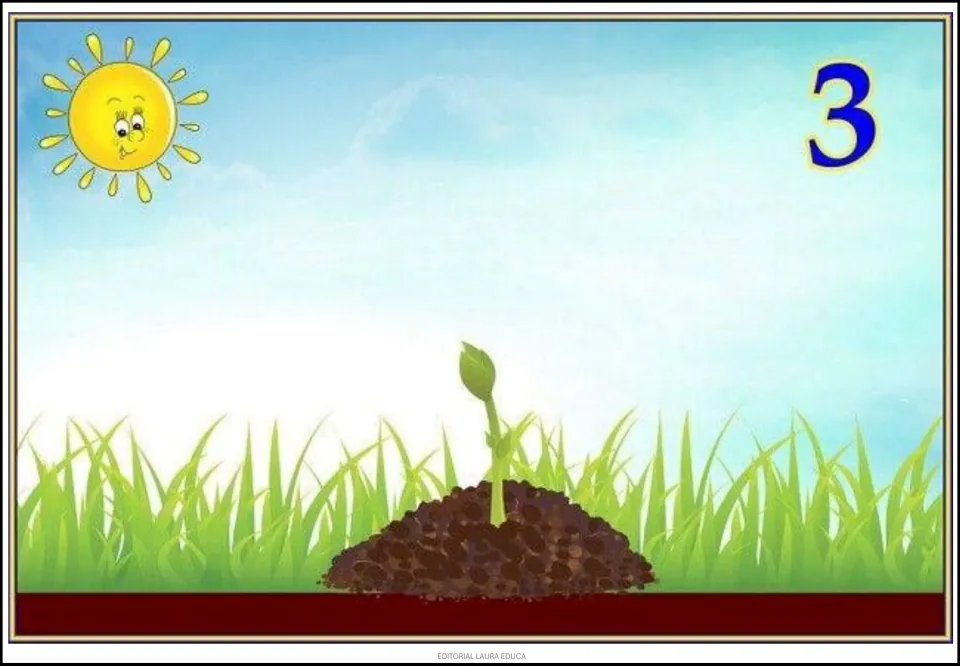 Tree cycle poster 3 of 9 shows a small green sprout emerging from a mound of soil in the growth sequence.