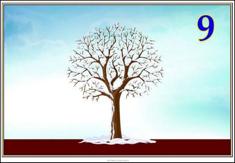 Tree cycle poster 9 of 9 shows a bare winter tree with snow on its branches and around the base of its trunk.
