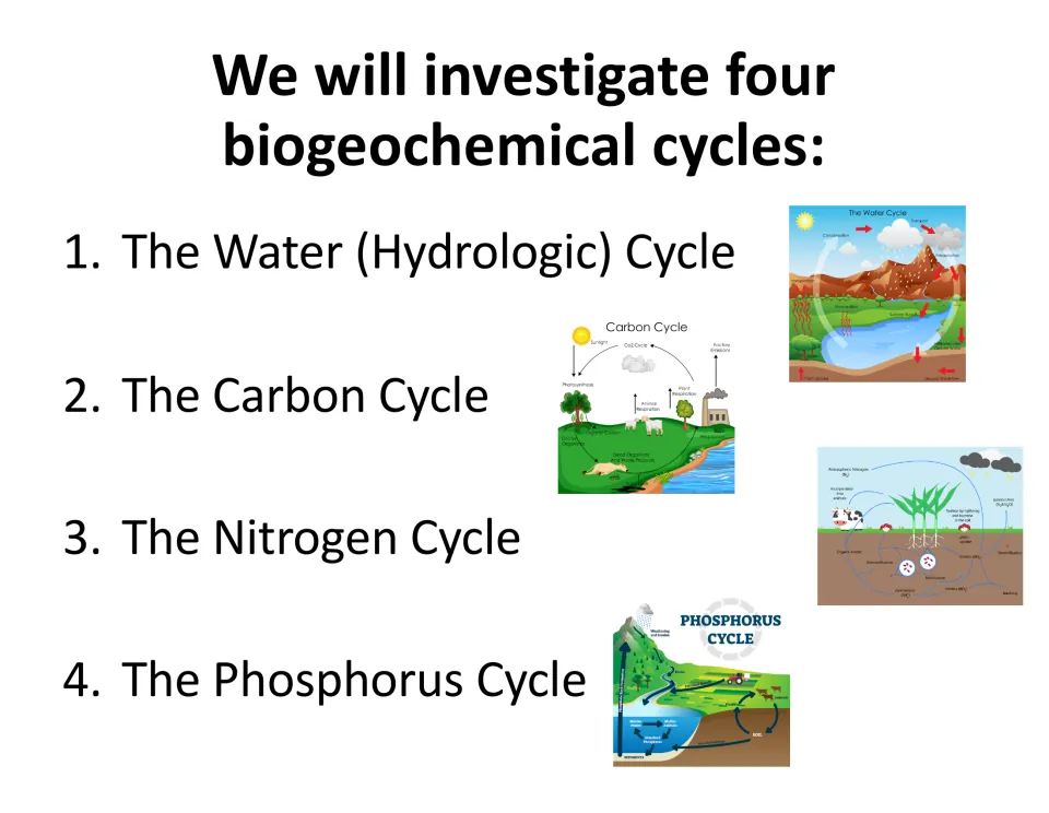 Four biogeochemical cycles to investigate: water (hydrologic), carbon, nitrogen and phosphorus, each shown as a diagram