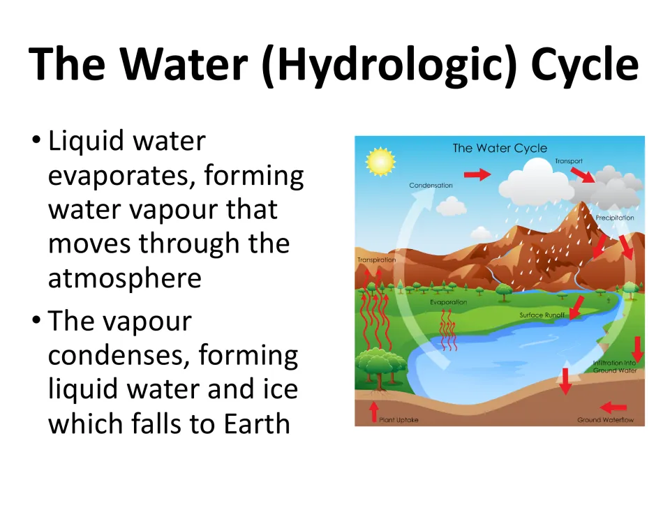 Water (hydrologic) cycle notes on evaporation and condensation beside a labeled diagram showing precipitation and runoff