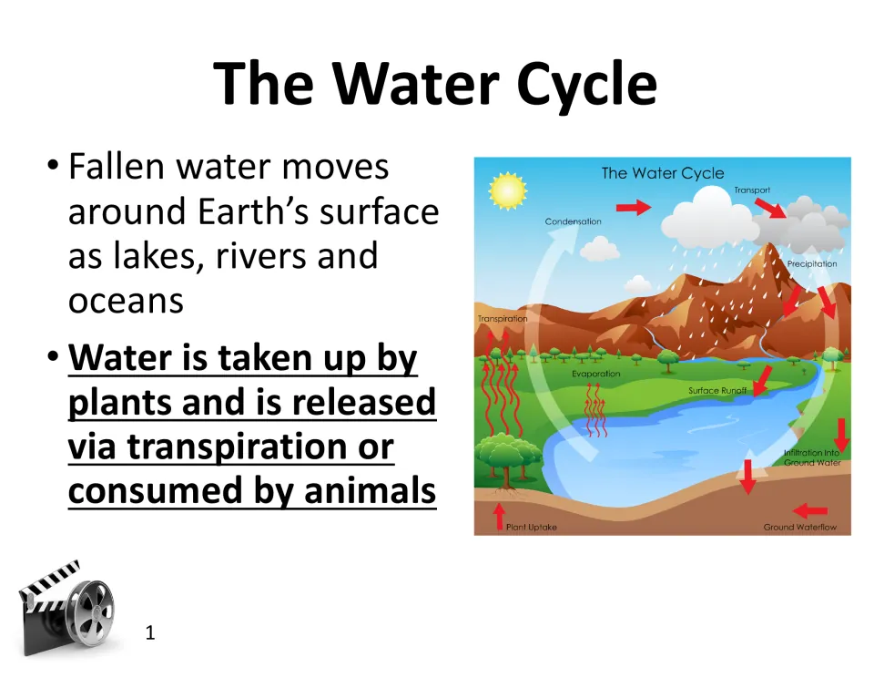 Water cycle notes: fallen water collects in lakes, rivers and oceans and is taken up by plants, released by transpiration