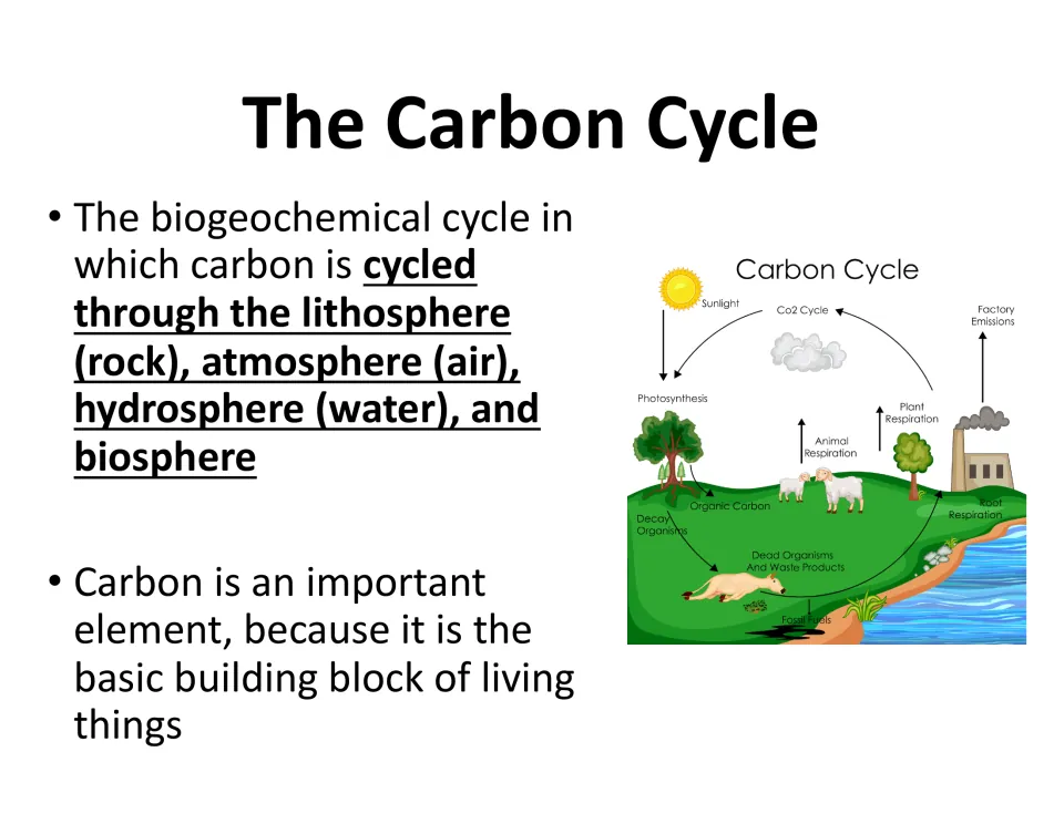 Carbon cycle defined as carbon moving through lithosphere, atmosphere, hydrosphere and biosphere, with a labeled diagram