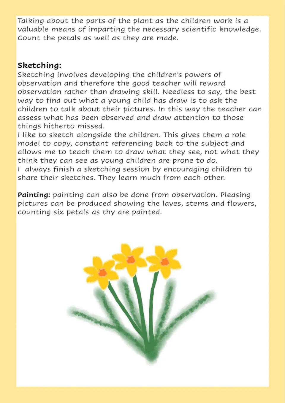 Sketching and painting daffodils from observation: tips on modelling drawing, sharing sketches and counting six petals