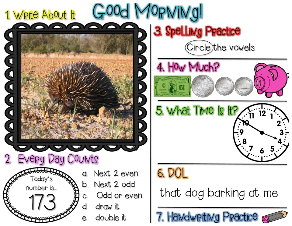 Good Morning review for number 173: write about an echidna, count money, read a clock and fix 'that dog barking at me'