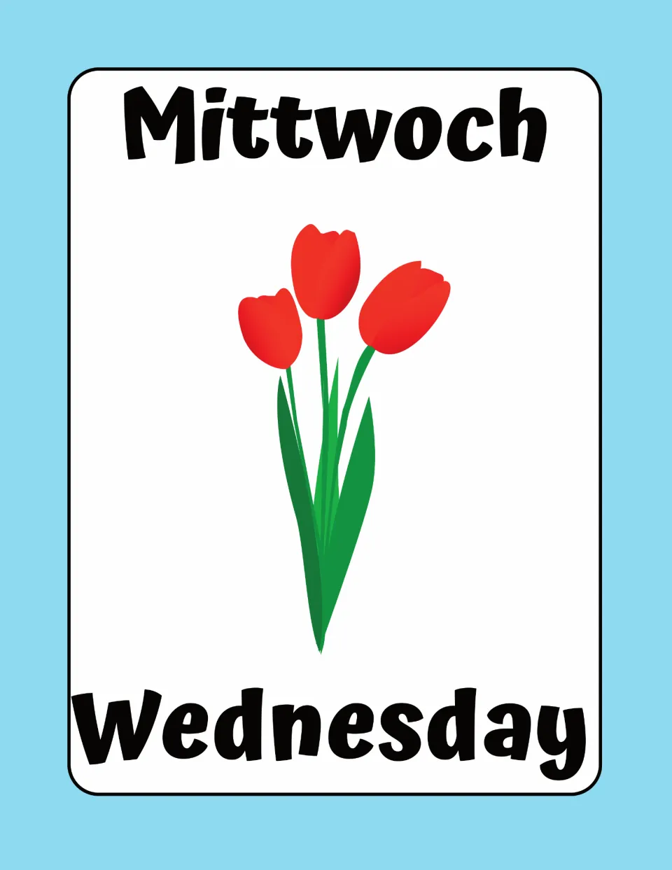 German weekday flashcard pairing Mittwoch with English Wednesday, shown with three red tulips