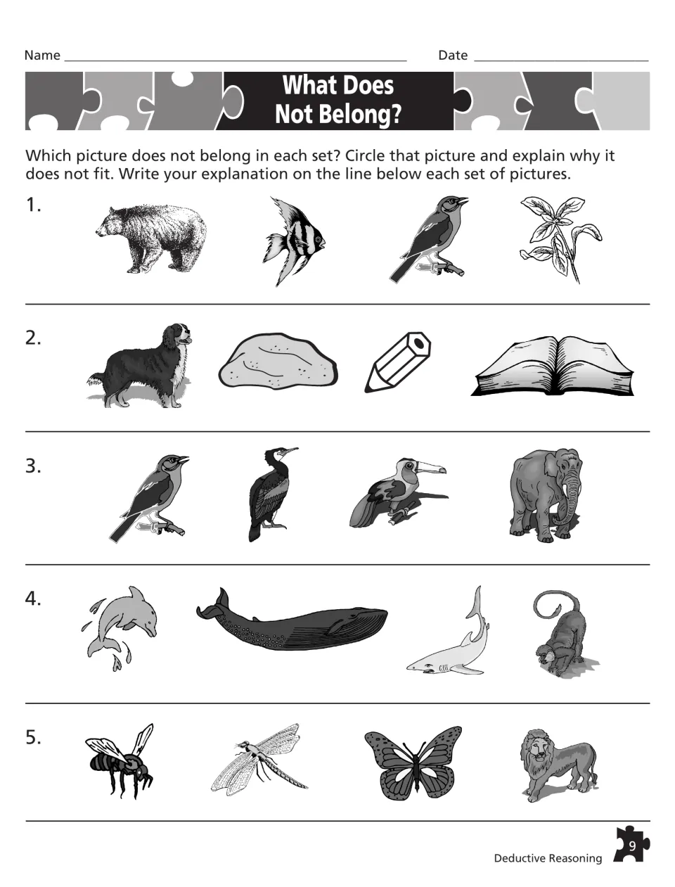 Classifying, What Does Not Belong?: students circle the odd picture, such as a plant among animals, and explain why