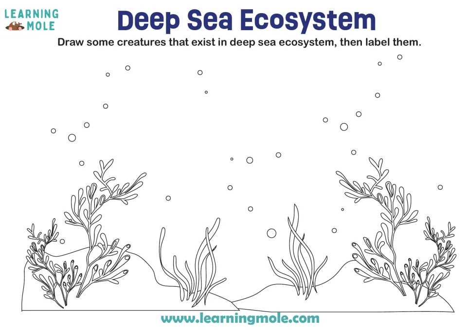 Deep sea ecosystem: students draw and label deep sea creatures in an outlined seafloor scene with seaweed and bubbles