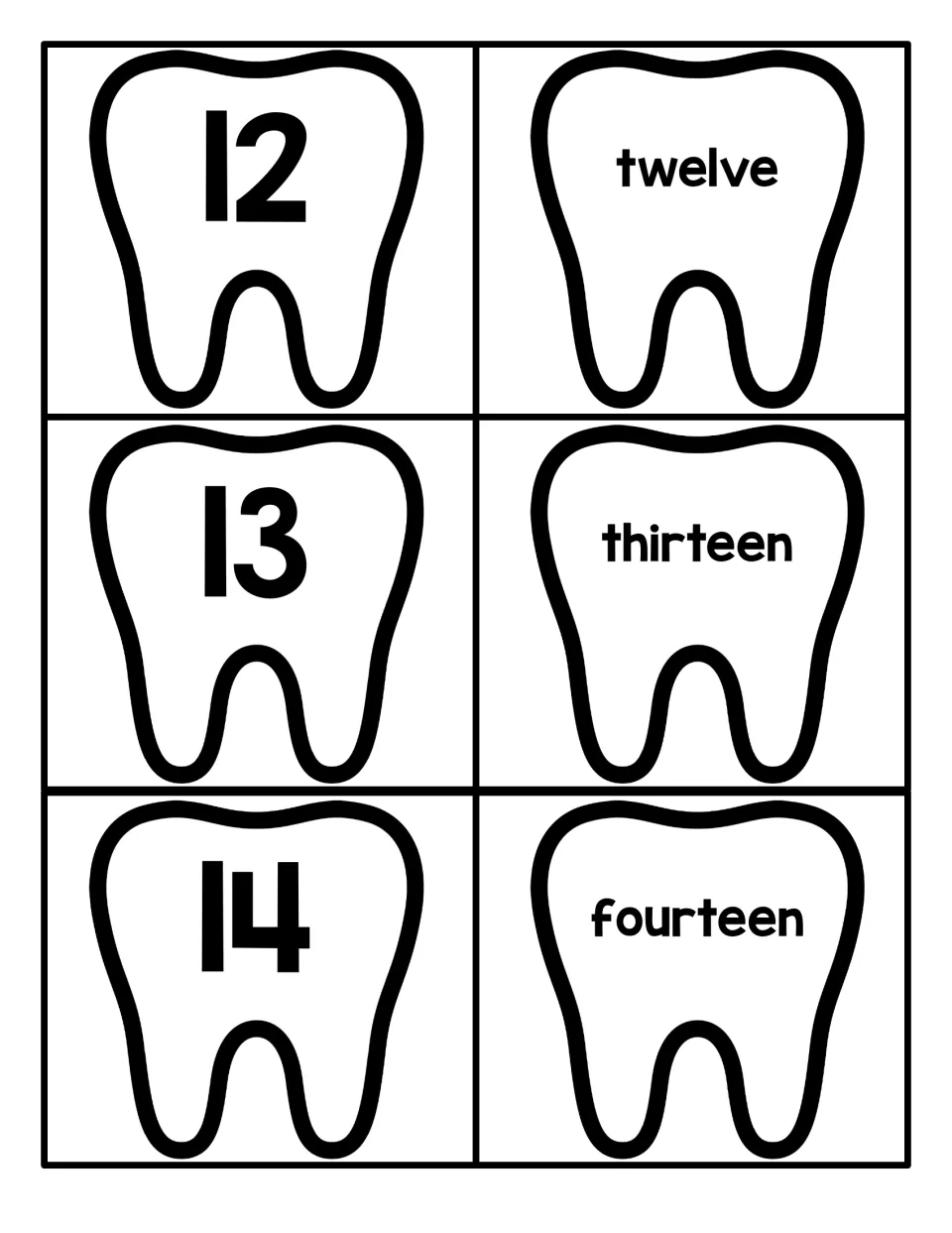 Tooth number cards 12 to 14: students match the numerals 12, 13 and 14 to the words twelve, thirteen and fourteen