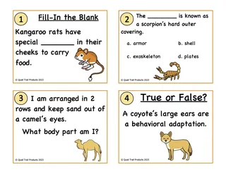 Desert Animals Adaptations – 3rd & 4th Grade Pack – preview 1